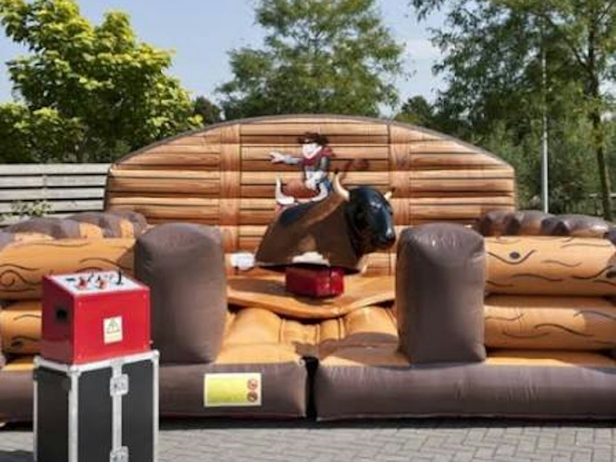 Rodeo stier Gezocht
