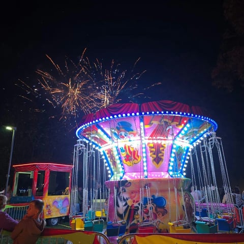 Available dates for large children's swing, photo 2