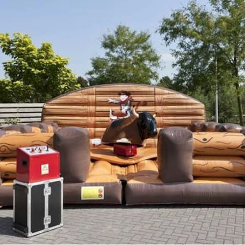 Rodeo stier Gezocht